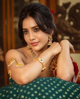 Nabha Natesh Revives Royal Vintage Elegance