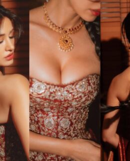 Disha Patani Oozes Sex Appeal In Latest Look